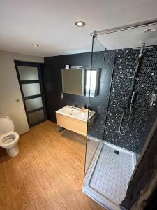 uma casa de banho com um chuveiro, um WC e um lavatório. em Le Triplex - 4 pers - Wifi - Centre ville em Mende
