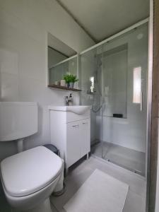a white bathroom with a toilet and a shower at House Delboy with garage, Črnomerec in Zagreb