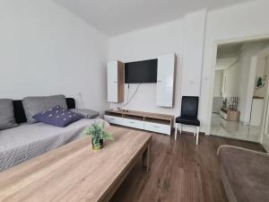 a living room with a couch and a tv at House Delboy with garage, Črnomerec in Zagreb