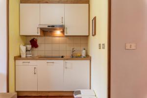 Kuchyň nebo kuchyňský kout v ubytování Appartements Pension Sonia