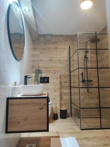 uma casa de banho com um lavatório e uma cabina de duche em vidro. em Apartman Patalino em Selina