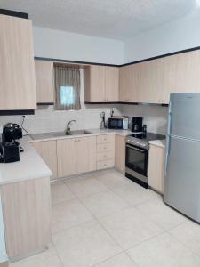 a kitchen with wooden cabinets and a stainless steel refrigerator at Maria Place in Triopetra
