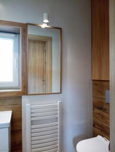 a bathroom with a mirror and a white toilet at 4 Sowy in Szczawnica