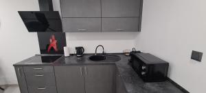 Kuchyňa alebo kuchynka v ubytovaní Apartman Julija 1