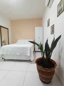 um quarto com uma cama e um vaso de plantas em Temporada Cuiabana em Cuiabá