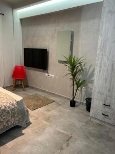 ein Schlafzimmer mit einem TV und einer Topfpflanze in der Unterkunft MSK Rotonda Studio 1 in Thessaloniki