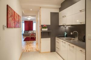 Cucina o angolo cottura di Apartamenty Czerwone Maki Wisła