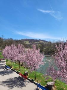 een brug over een rivier met bomen met roze bloemen bij Nihad B&B in Visoko