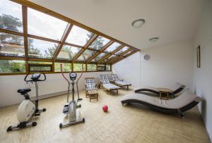 Fitness centrum a/nebo fitness zařízení v ubytování Pavilon