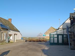 a herd of sheep walking down a street at Maison au pied du Mont Saint Michel 2 in Pontorson