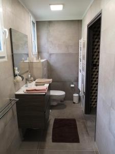 ein Bad mit einem Waschbecken und einem WC. in der Unterkunft Gîte la Winery in Romery