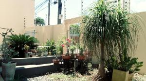 Zahrada ubytování Sobrado Parque Mae Bonifacia 4 suites com ar e piscina