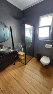 uma casa de banho com um WC, um lavatório e um espelho. em למרגלות הגלבוע em Gid‘ona