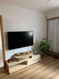 a living room with a large flat screen tv on a wall at Ferienwohnung Am Froschteich in Markranstädt