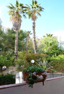 un giardino con palme e fiori su un cornicione di Sea Breeze Acitrezza ad Aci Castello