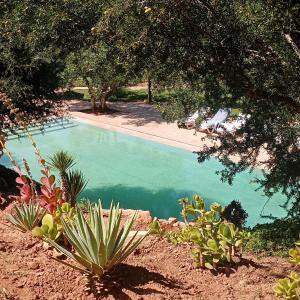 una piscina en un patio con árboles y plantas en Paradis Nomade, en Azrarag