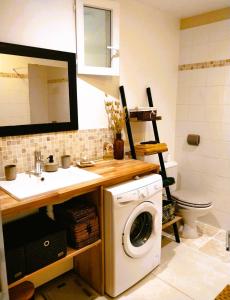 ein Badezimmer mit einer Waschmaschine und einem Waschbecken in der Unterkunft Gîte de la Petite vallée in Saint-Savinien