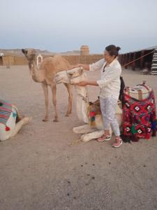 a woman is petting a camel in the desert at Apadi camp in Coraya Bay