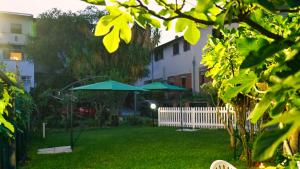 a yard with two green umbrellas in the grass at APPARTAMENTI DA PIERO in Casa Cangemi