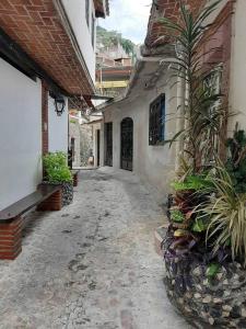 um beco vazio com plantas num edifício em Habitación independiente a unos pasos del centro em Taxco de Alarcón