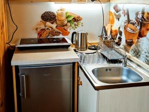 a small kitchen with a sink and a stove at Pokoje i Apartamenty Regionalny Styl ul Bachledy 41 Zakopane in Zakopane