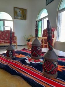 a living room with three vases on a rug at Pella Countryside hotel 