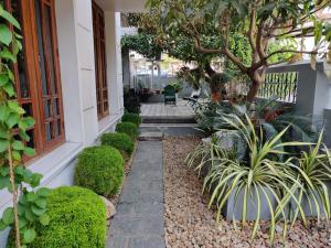 a courtyard of a house with a tree and plants at The Nook Home in Ernakulam