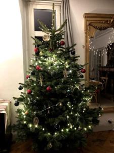 a christmas tree with lights and ornaments on it at CASTEL MT Villa spacieuse Luchon vue montagnes Pyrénées in Luchon