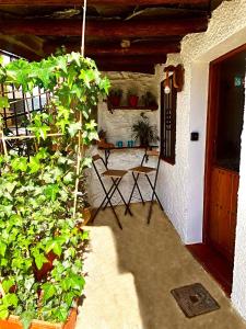a patio with a table and a chair and a plant at Casa Soportújar las flores in Soportújar
