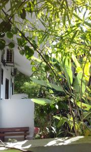 Billede fra billedgalleriet på MELATI INN i Kajang