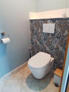 a bathroom with a white toilet in a room at Laie des Landes in Soucelles