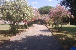 a path with trees with pink flowers in a park at Maison Antoinette in San Vincenzo