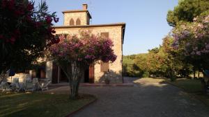 a building with trees and flowers in front of it at Maison Antoinette in San Vincenzo