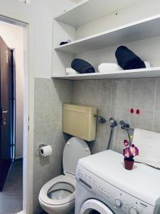 a bathroom with a toilet and a washing machine at Apartments Gule in Slatine