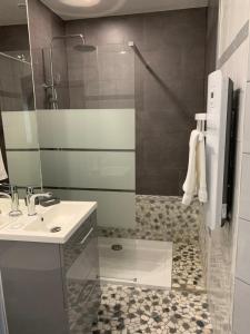 La salle de bains est pourvue d'une douche, d'un lavabo et d'un miroir. dans l'établissement La Bigourdane, à Gerde