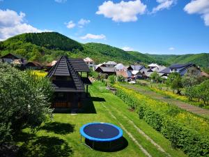 an aerial view of a house with a blue trampoline at Pensiunea Ardelean in Vadu Izei