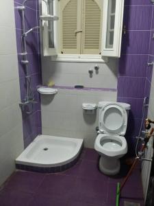 Rental apartment at Ras El Bar City في ‘Izbat al Jirabī: حمام أرجواني مع مرحاض ومغسلة