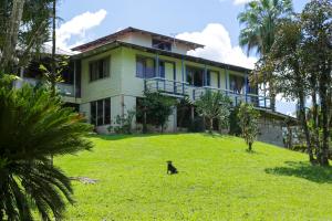 un gatto seduto sull'erba di fronte a una casa di Casa Drake Lodge a Bahía Drake