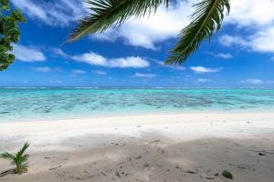una playa con una palmera y el océano en Ann's Beach House, en Rarotonga 4 fotos más