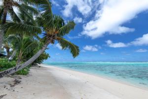 una playa con palmeras y el océano en Ann's Beach House, en Rarotonga