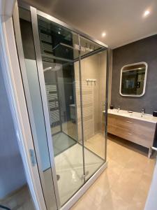 a glass shower in a bathroom with a sink at Parc Beausejour Aparthotel in Dieppe