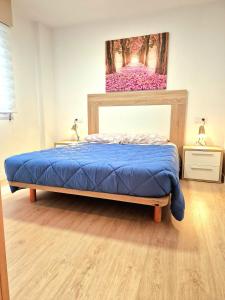 Ένα ή περισσότερα κρεβάτια σε δωμάτιο στο Chabós Plaza España - Charming Flats
