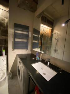La salle de bains est pourvue d'un lavabo et d'un lave-linge. dans l'établissement Dark Apartment, à Erevan