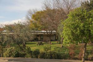 una mesa de picnic frente a una casa con árboles en Slowness - Kibbutz Moran en Moran