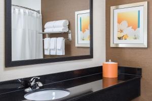 a bathroom with a sink and a mirror at Fairfield Inn & Suites Jackson in Jackson