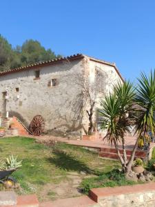 a building with a palm tree in front of it at Cottage Eco-Friendly Barcelona country side in La Garriga