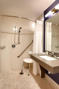 Fairfield Inn and Suites Sierra Vista في سييرا فيستا: حمام مع حوض ومرحاض ومرآة