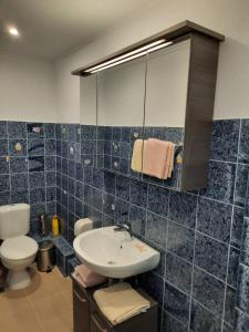 La salle de bains est pourvue d'un lavabo et de toilettes. dans l'établissement Olga's appartments, à Ouranoupoli