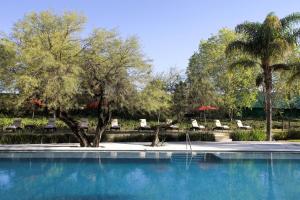 a swimming pool with chairs and trees in the background at Aguascalientes Marriott Hotel in Aguascalientes