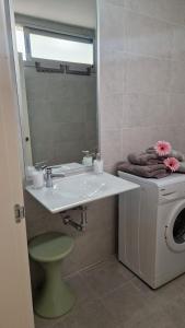 y baño con lavabo y lavadora. en APARTAMENTO BERNIER, en Málaga